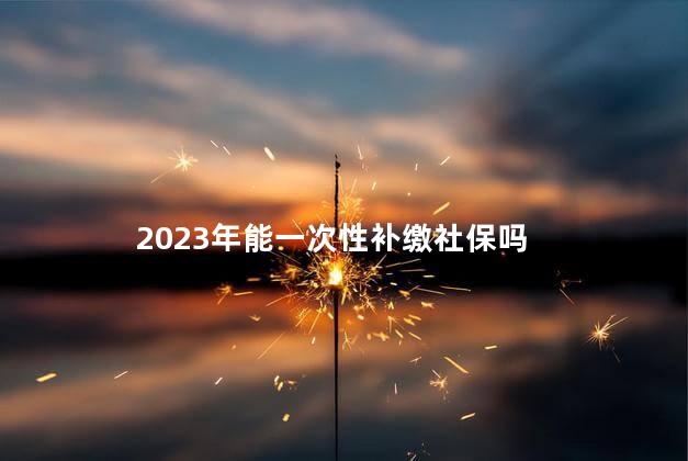 2023年能一次性补缴社保吗