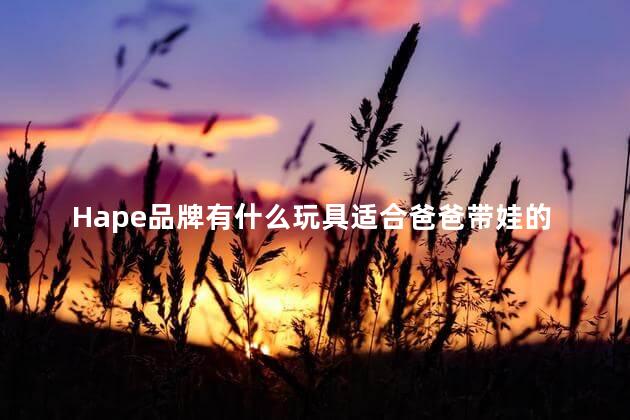 Hape品牌有什么玩具适合爸爸带娃的时候玩啊