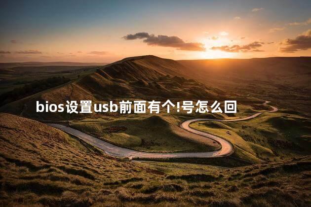 bios设置usb前面有个!号怎么回事