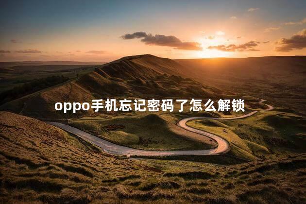 oppo手机忘记密码了怎么解锁