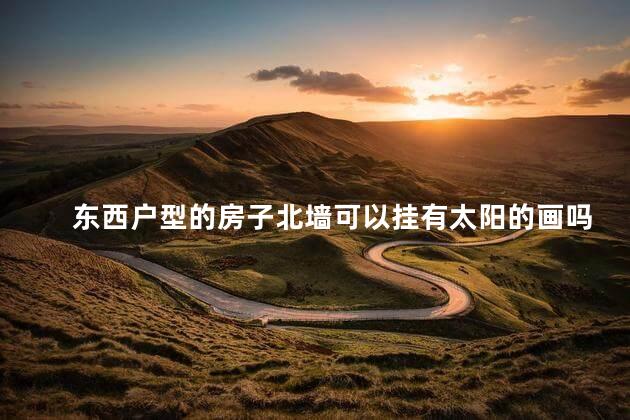 东西户型的房子北墙可以挂有太阳的画吗