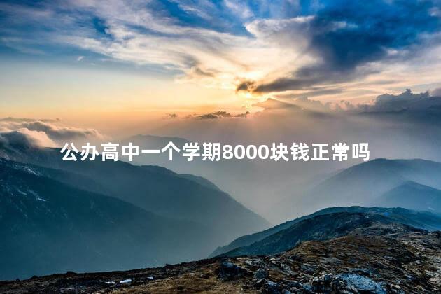 公办高中一个学期8000块钱正常吗