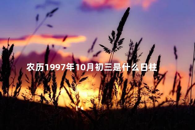 农历1997年10月初三是什么日柱