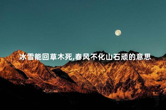 冰雪能回草木死春风不化山石顽的意思