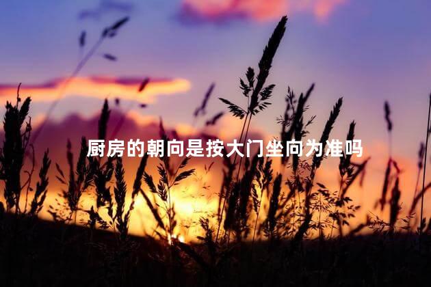 厨房的朝向是按大门坐向为准吗