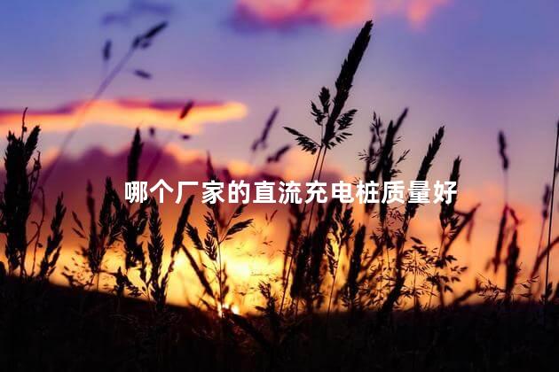 哪个厂家的直流充电桩质量好