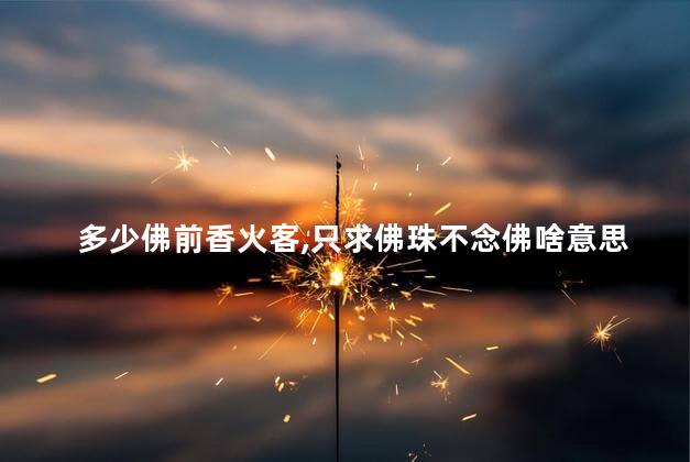 多少佛前香火客，只求佛珠不念佛啥意思