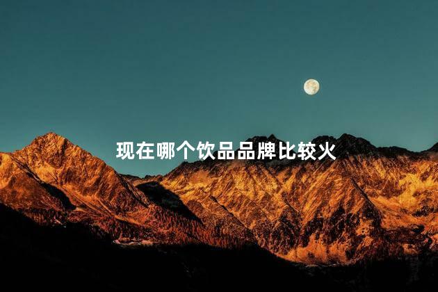 现在哪个饮品品牌比较火