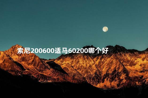 索尼200600适马60200哪个好