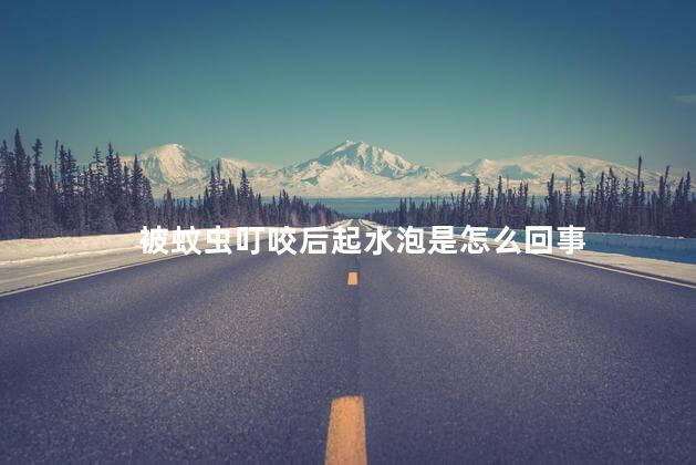 被蚊虫叮咬后起水泡是怎么回事 被蚊虫叮咬后起水泡用什么药膏