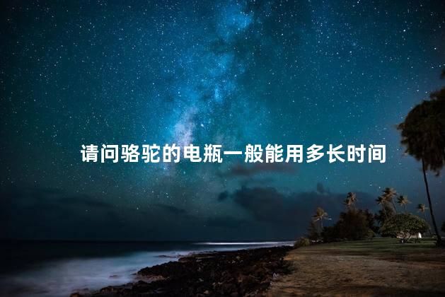 请问骆驼的电瓶一般能用多长时间
