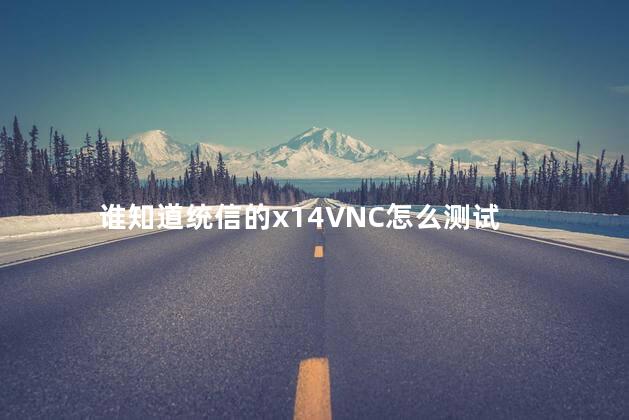 谁知道统信的x14VNC怎么测试