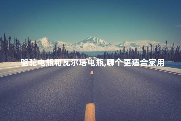 骆驼电瓶和瓦尔塔电瓶，哪个更适合家用轿车用